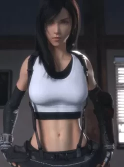 [自行打包] [3D动画][Lvl3Toaster]Tifa show you her panties [2v+89M][百度盘]